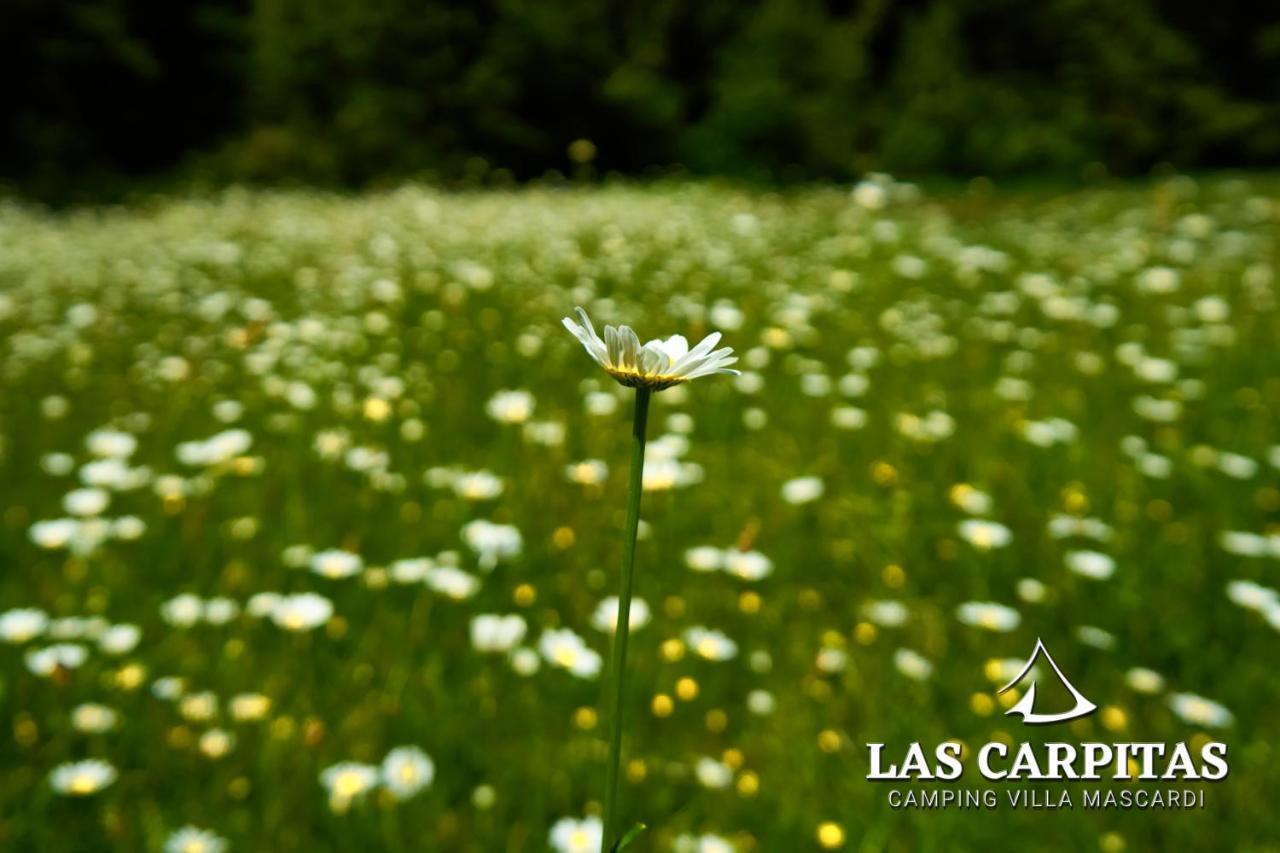 Las Carpitas Villa Mascardi Esterno foto